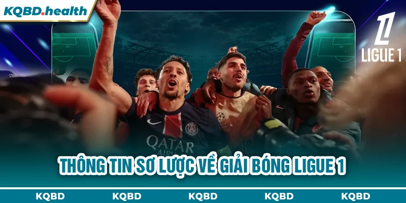 Ligue 1 13 Thông tin sơ lược về giải bóng Ligue 1