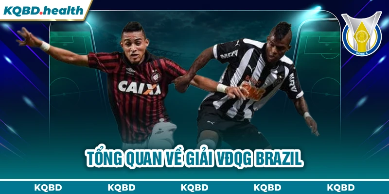 VĐQG Brazil 13 Tổng quan về giải VĐQG Brazil