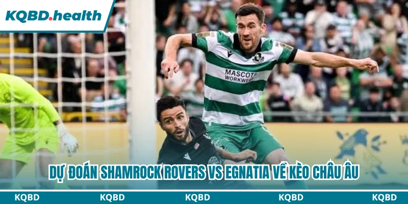 Dự Đoán Shamrock Rovers Vs Egnatia Lúc 02h00 Ngày 05/08 - UEFA Europa League 3 Dự đoán Shamrock Rovers vs Egnatia về kèo châu Âu